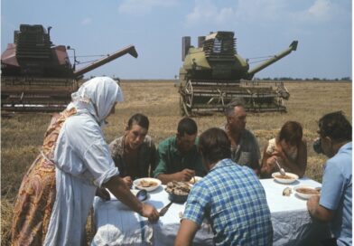 Условия труда и питания работающих под надзором