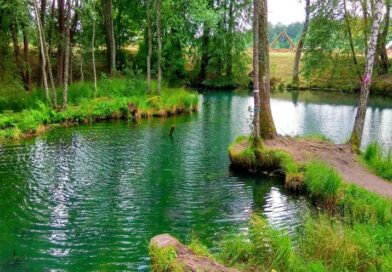 Вода из криницы – пригодна для питья…